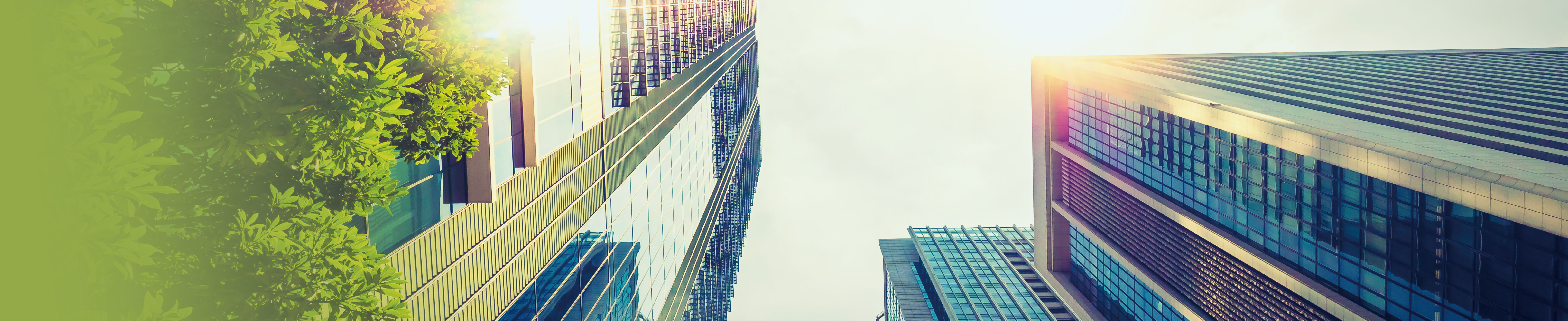 View of Solutions - Consulting Service for Smart Green Buildings - Delta
