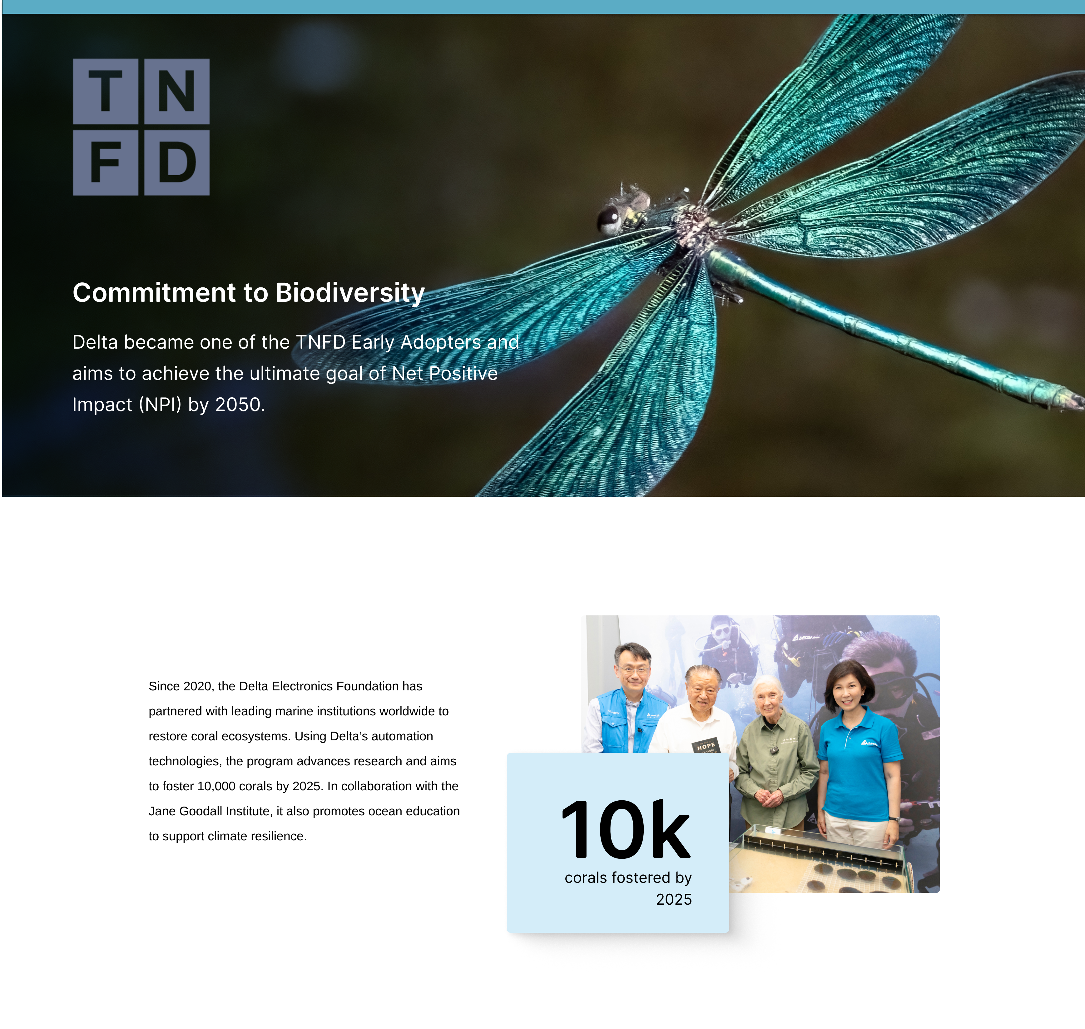 Commitment to Biodiversity