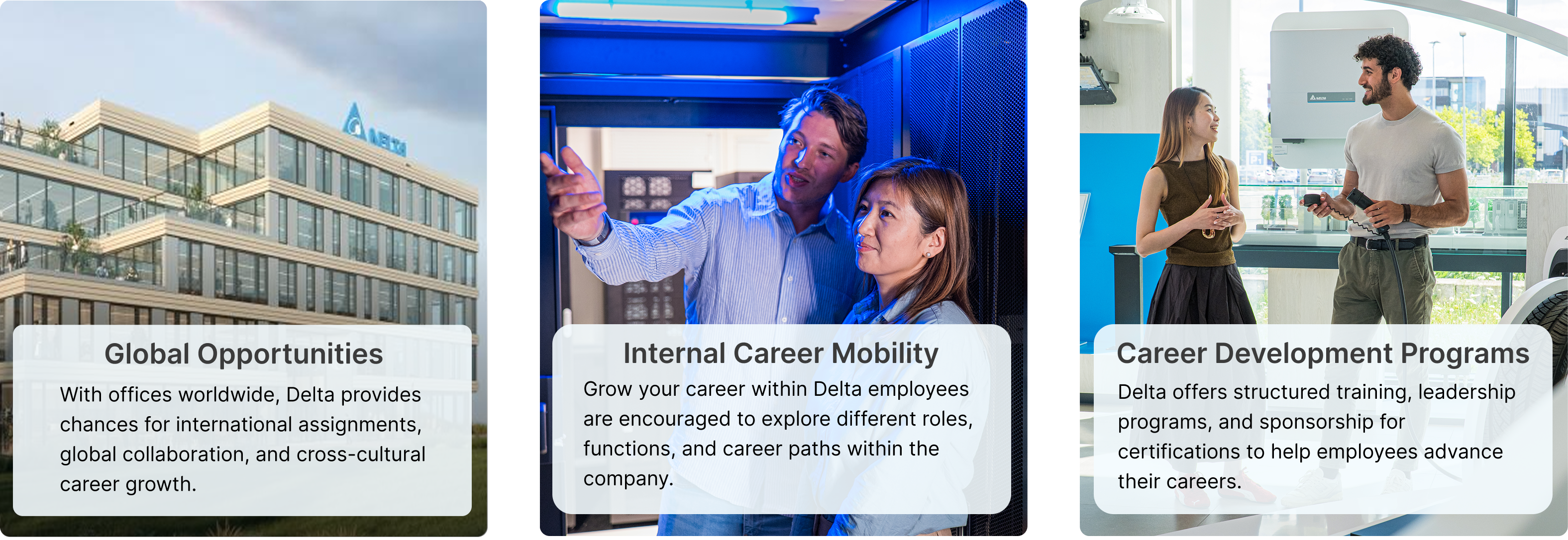 Global Opportunities, Internal Career Mobility, and Career Development Programs at Delta
