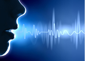 voice_140202_M.jpg